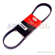 Gates 6PK883 