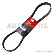 Gates 6PK1078 Micro-V® Belt