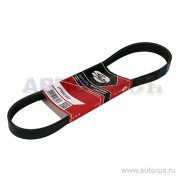Gates 6PK823SF 